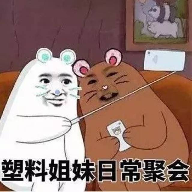 沙雕表情包:这就是塑料姐妹日常聚会!