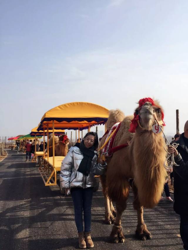 山西一景区斥资几亿建山西版