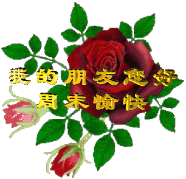 2019刚出的《聊天表情图库》太美了! 不打字就能聊天