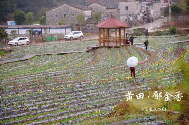 【印象泉港】涂岭黄田村,有一片彩色的惊喜!