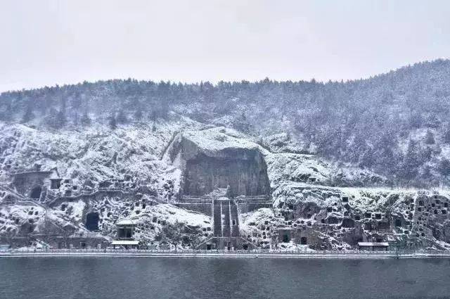 洛阳雪景有多美?还有这些地方依旧温暖如春