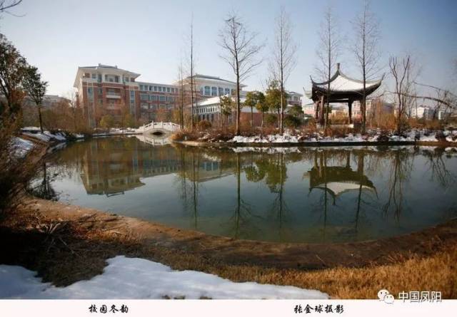 来一道小清新!你领略百年老校凤阳中学的四季美景吗?快来看