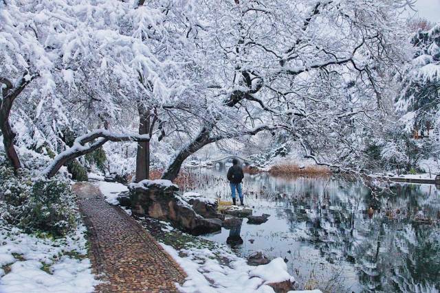 实拍六朝古都南京雪景,金陵赏雪这9个景点一定不要错过!