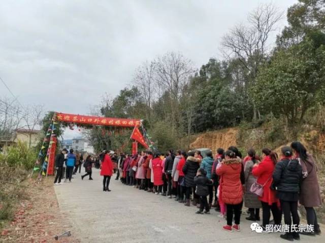 到村口集合迎接金花回娘家锣鼓喧天,爆竹声声,彩旗飘扬,热闹非凡,外