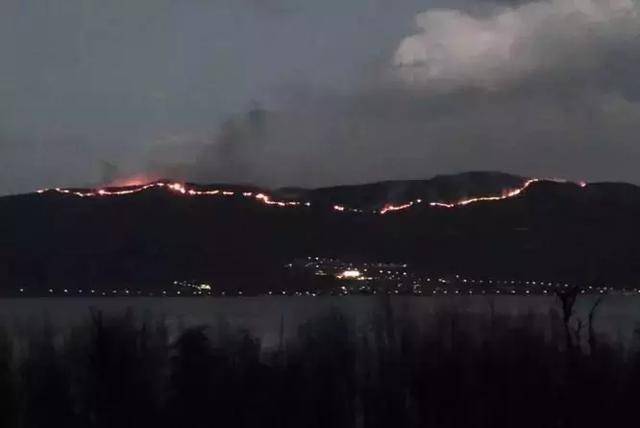 紧急!大理凶猛山火连烧20多个小时,多部门紧急扑救