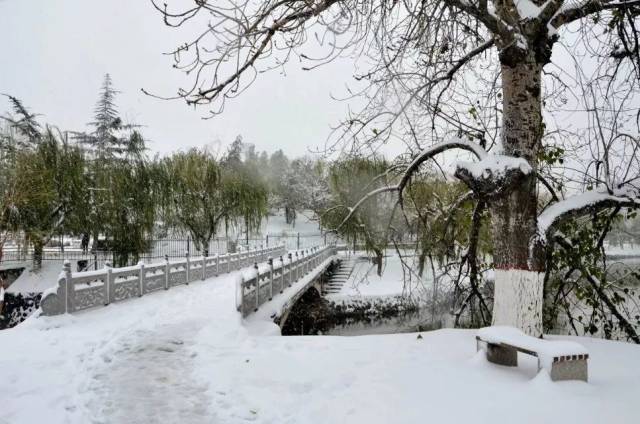 今早打开窗来,雪景美美的,河南各地雪景图来了!