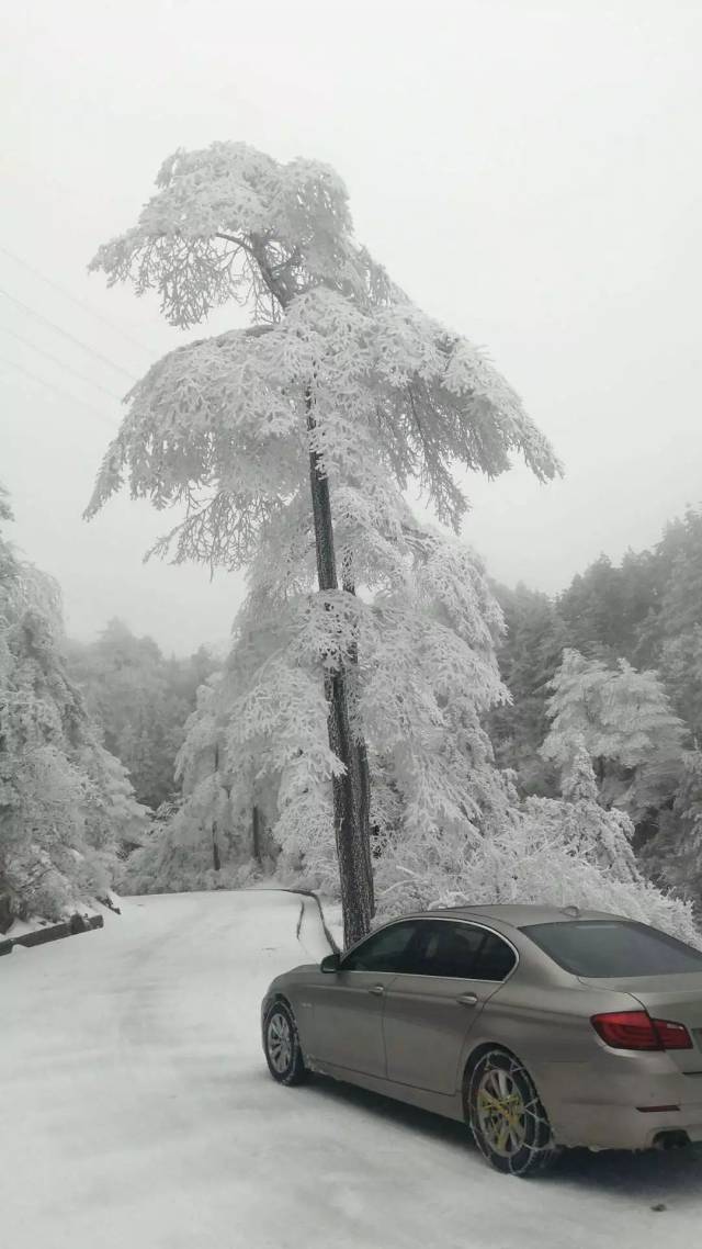 岳西发生多起车祸!堵车!持续7天雨雪,高速封闭!返程高峰此刻压力巨大