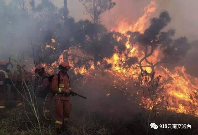 紧急!大理凶猛山火连烧20多个小时,多部门紧急扑救