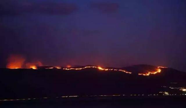 紧急!大理凶猛山火连烧20多个小时,多部门紧急扑救