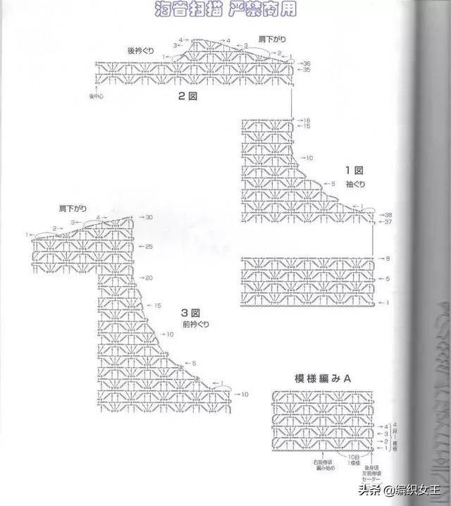 后片:上半部分起约181针辫子,18个花样,钩9组,按图解收袖笼.