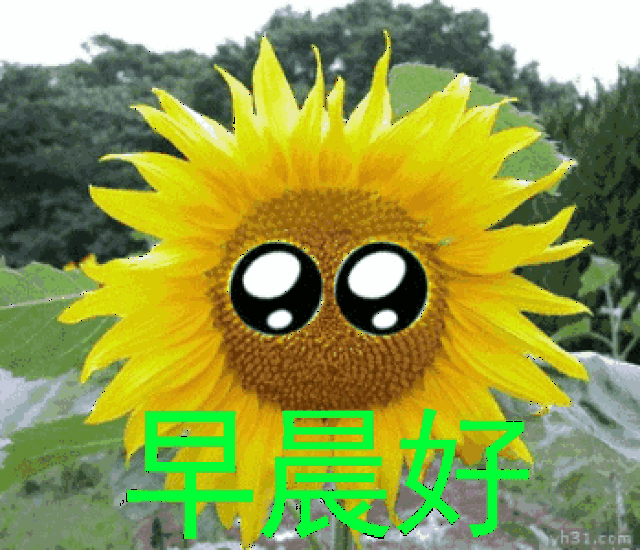 早上好微信祝福语大全 早上好微信动态表情图片