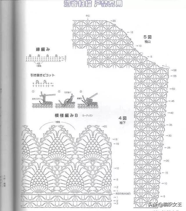 后片:上半部分起约181针辫子,18个花样,钩9组,按图解收袖笼.