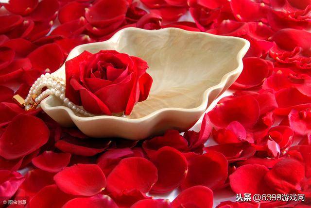 2019年情人节送玫瑰花寓意 不同数目的玫瑰花代表不同