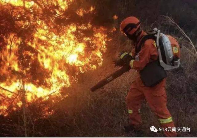 紧急!大理凶猛山火连烧20多个小时,多部门紧急扑救