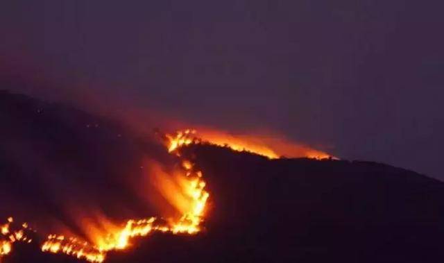 紧急!大理凶猛山火连烧20多个小时,多部门紧急扑救