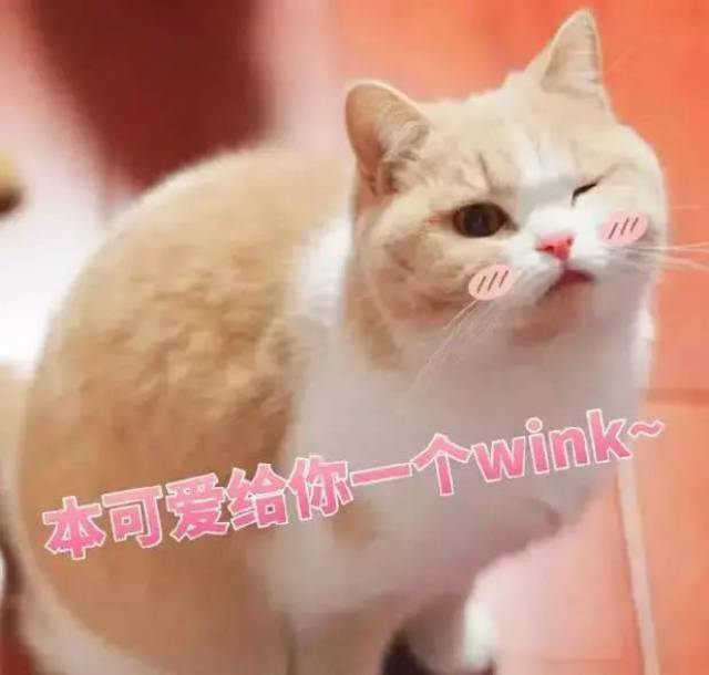 表情包:本可爱给你一个wink