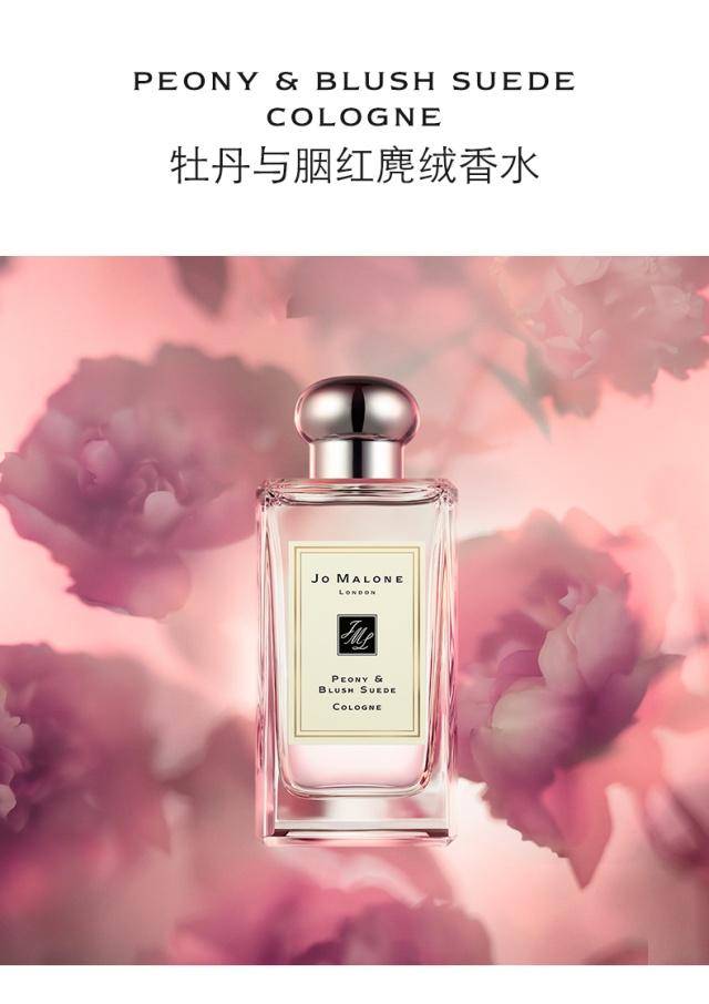 peony & blush suede 牡丹与胭红麂绒