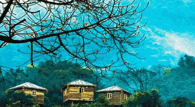 小小 22处温泉 在这种大自然的环境里泡着温泉 一栋栋古朴自然的树屋