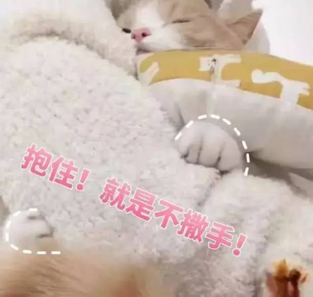 抱住!就是不撒手!