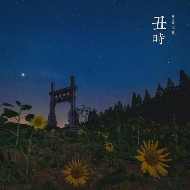 丑时·休息 |1点-3点