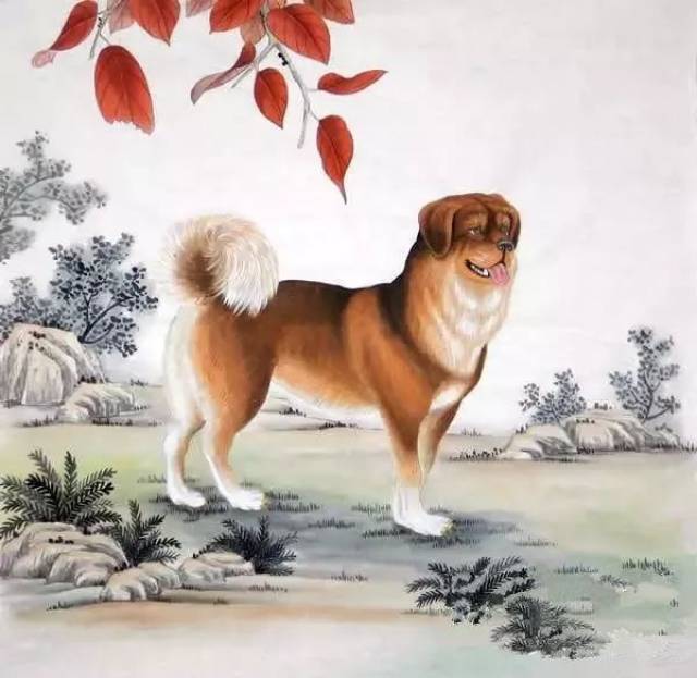 亥猪  