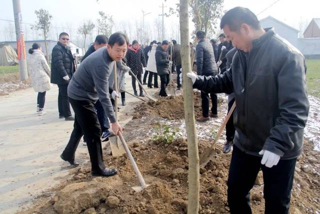 开班第一天,永城市四大班子领导参加义务植树活动