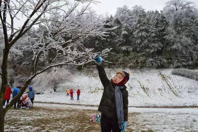 晶莹剔透,银光闪耀 陈开超 摄 海拔600米以上的 四明山国家森林公园