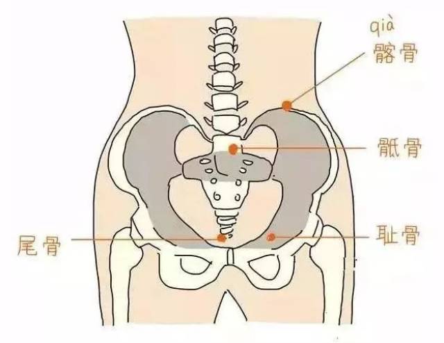 骨盆错位是女性疾病根源,瑜伽帮你纠正