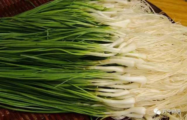 时代在进步 年味也变迁