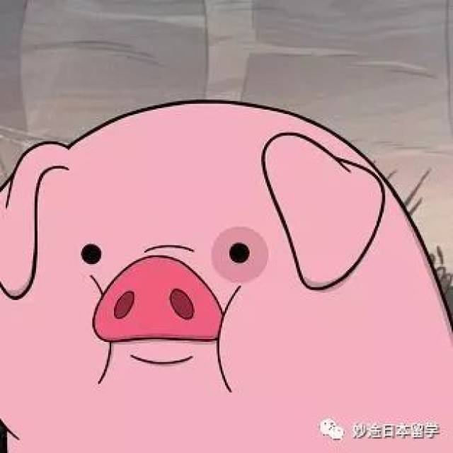 佩奇命丧日本,猪年如何大吉?