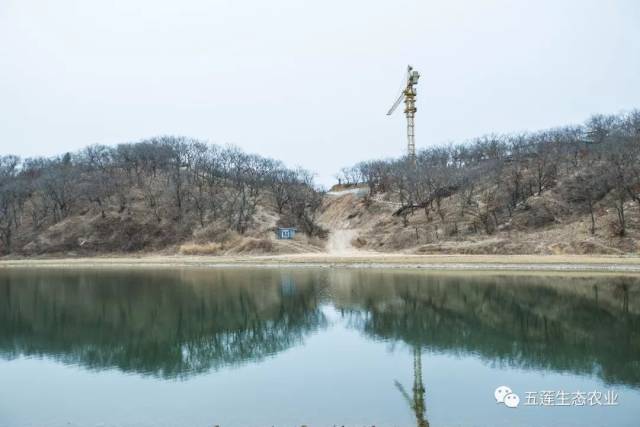 世界眼光,国际标准!纵深推进五莲山—白鹭湾田园综合体建设