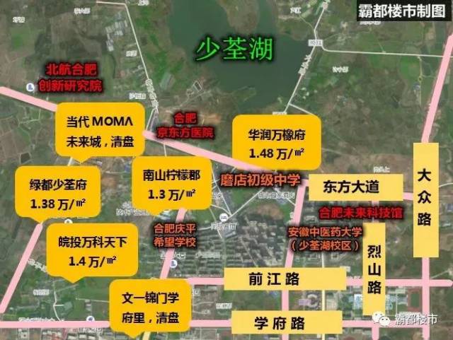 2019少荃湖大爆发409亿建新城中央商业广场地铁都要来