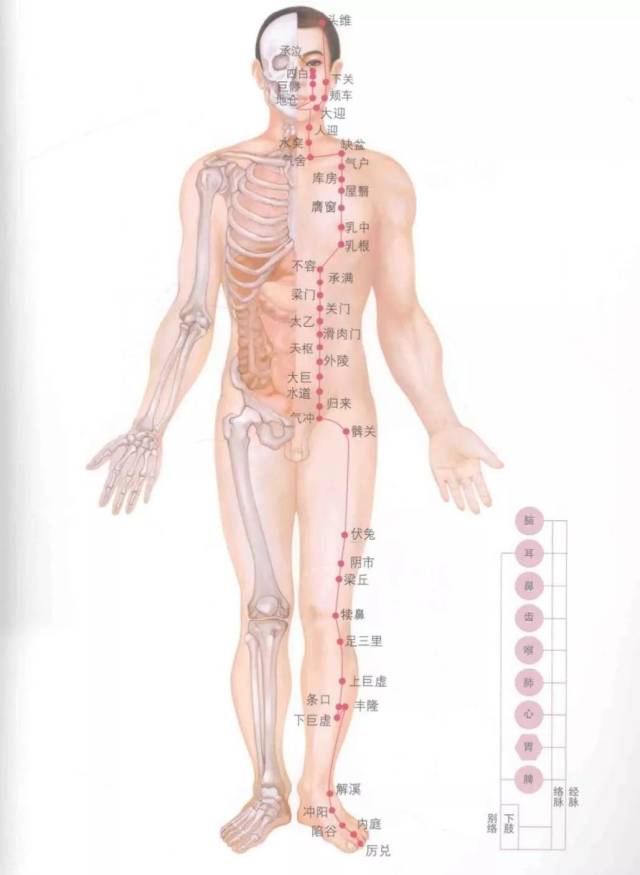超赞的十四经络穴位图谱及口诀,不看吃亏哦!