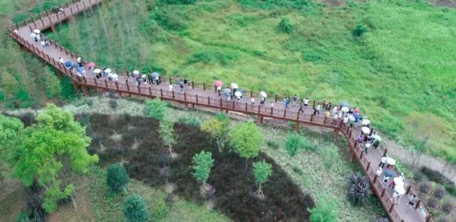 【我们的节日·春节 】武平:文旅融合过大年 新春旅游