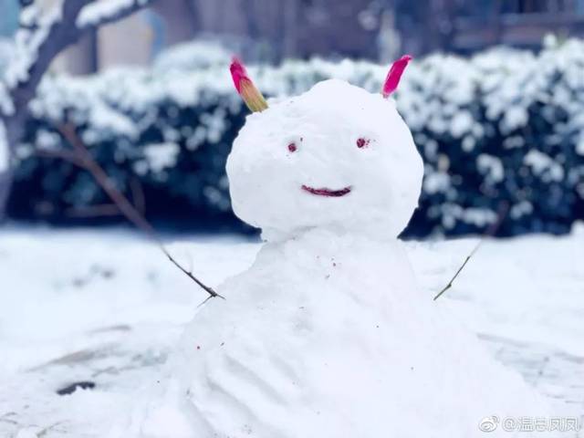 紧急!暴雪突袭山西多地BT页游!32条高速路段封闭!全省高速最新路况