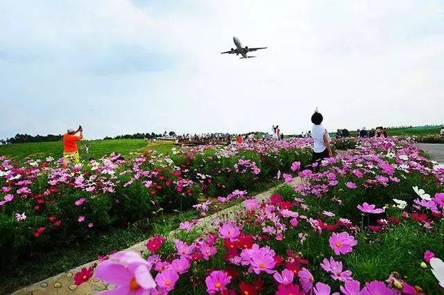 国际时尚集群重点建设"一田一心一区"一田—空港花田