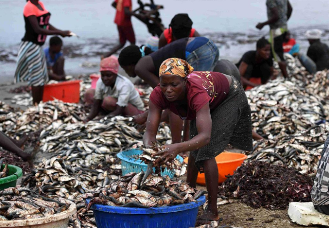 非洲海鲜个头大、价格低,为何非洲人不吃呢?原