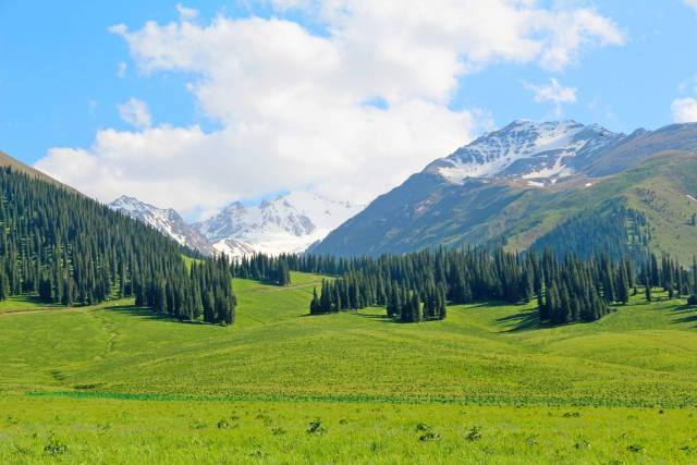 来新疆必去看的15大草原风景-地域差异各有不同