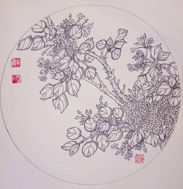 八百七十四——丁香花(硬笔白描花卉习作)