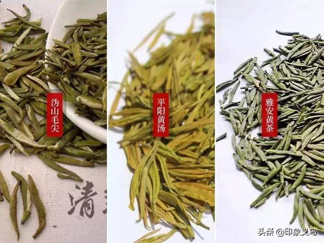 关于黄茶你都知道哪些