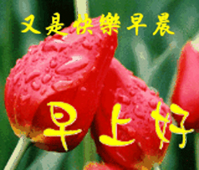 早上好早晨问候语问候朋友配表情图片