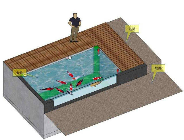 带自动排污,补水的鱼池设计图,过程详细,很有参考意义