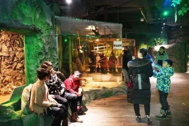 乌鲁木齐首个室内生态动物园春节期间备受青睐
