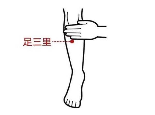 足三里