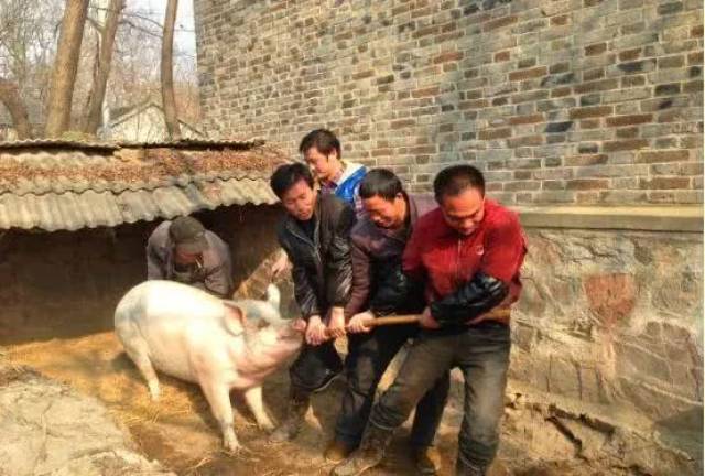 回忆过去小时候过年的场景,8090后:再也回不去的青春