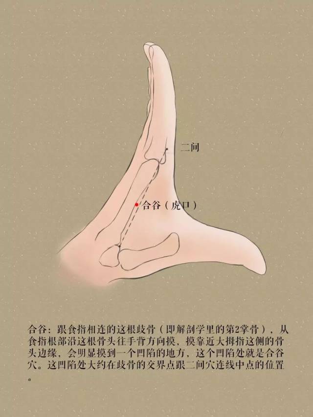 合谷穴,一个治病的"万能穴"!