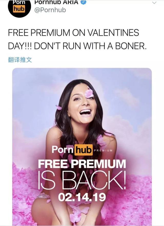 除了pornhub,单身狗还能怎么度过情人节?