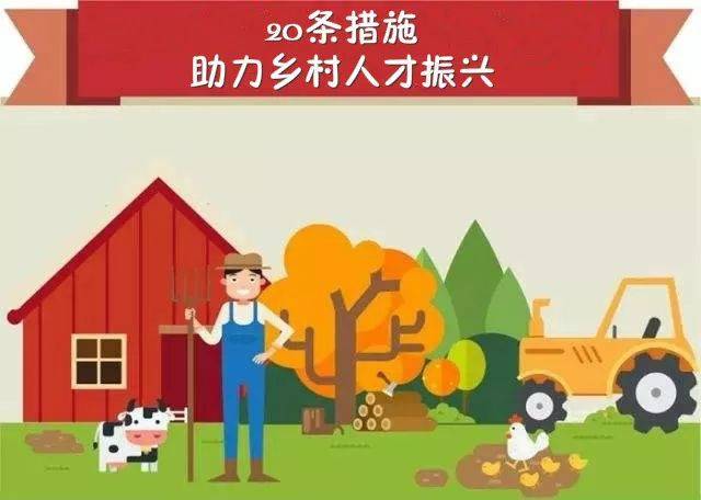 市人社局20条措施,助力乡村人才振兴