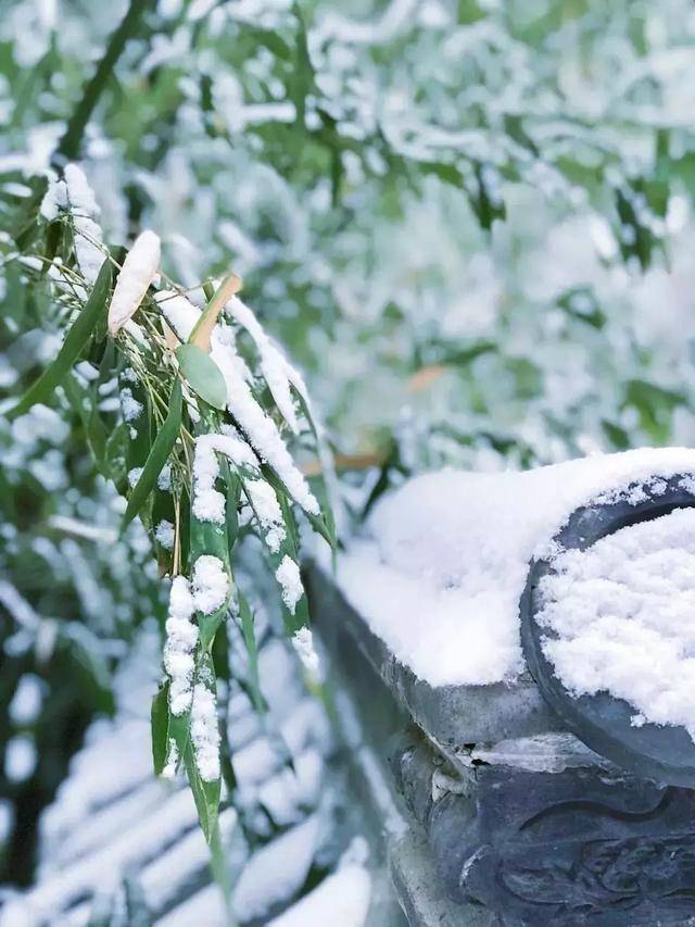 济南灵岩寺——清幽淡远,禅雪如画!