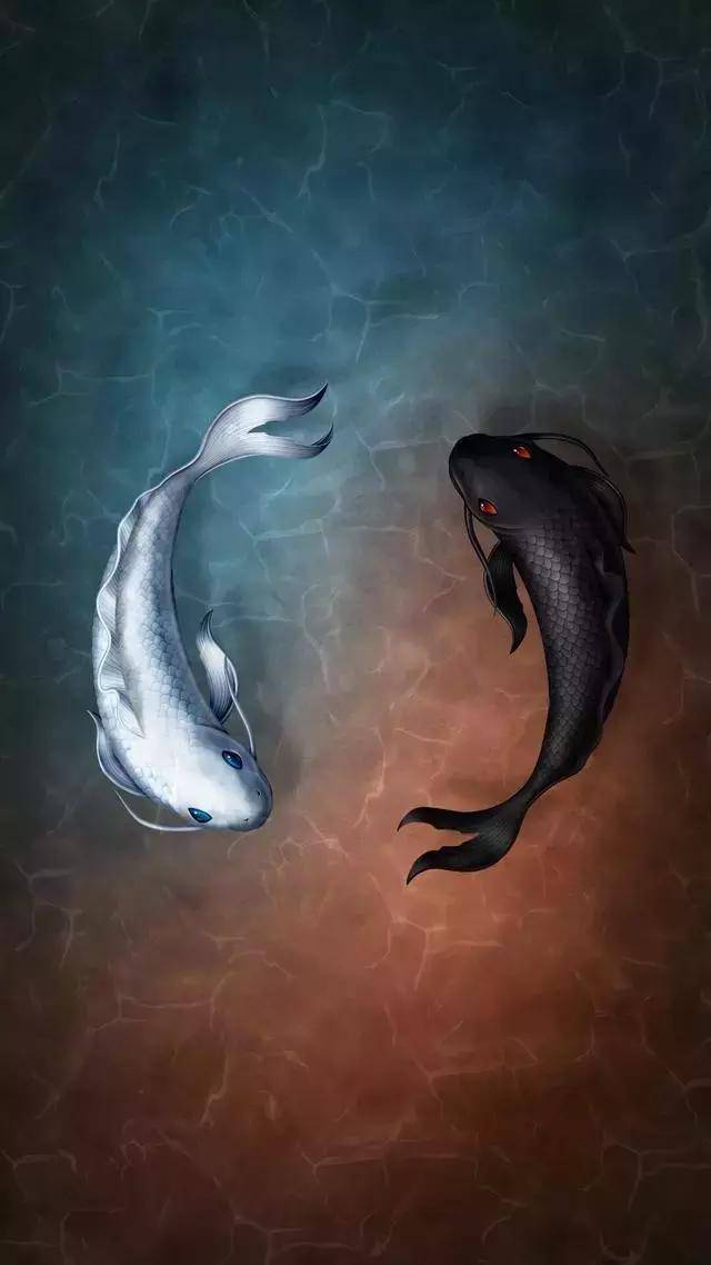 壁纸|斗鱼壁纸